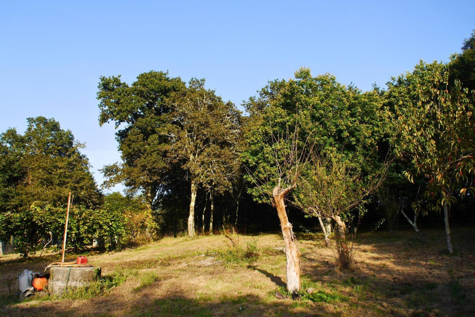 Casa Ermitas - Relajate En Plena Naturaleza A Estrada Kültér fotó